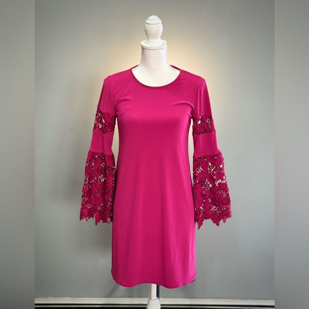 Pink Alfani Floral Vibrance Lace Sleeve Dress Size 2P NWT